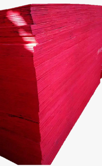 WhatsApp Image 2025-10-27 at 13.59.23