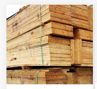 WhatsApp Image 2025-11-06 at 13.24.22